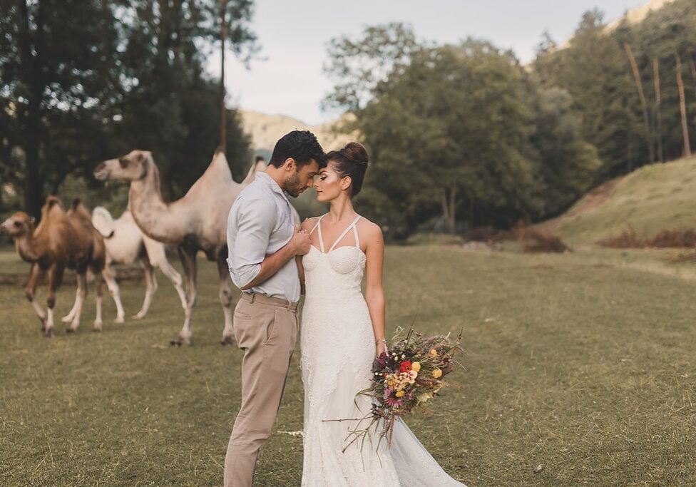 Styled Shoot: Marokko Stil und Kamel-Liebe